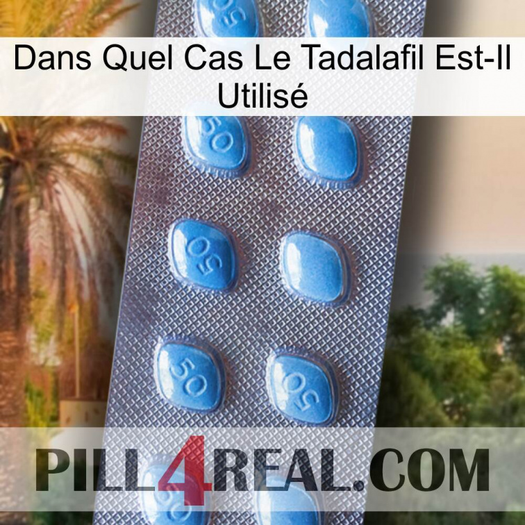 Dans Quel Cas Le Tadalafil Est-Il Utilisé viagra3